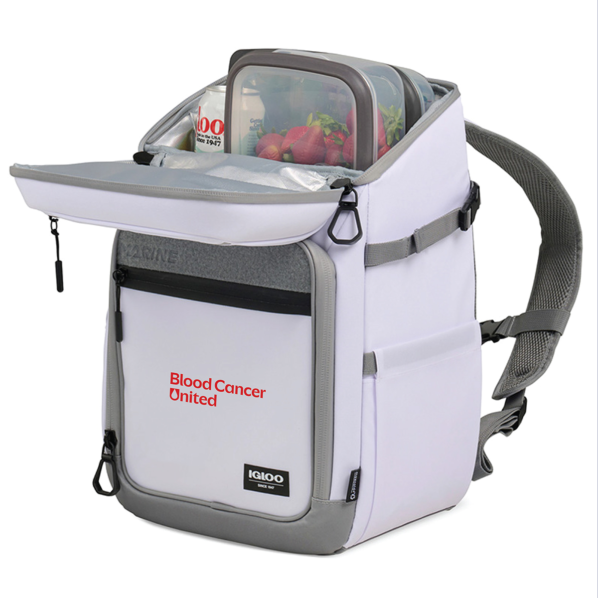 Igloo Cooler